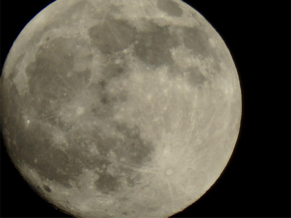 maan1.jpg