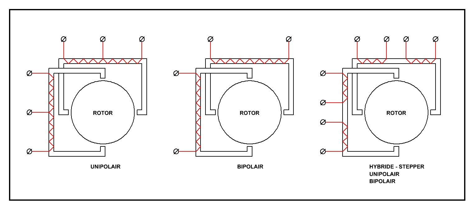 download membrane physiology